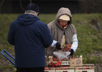 Na bazarach nie mają dobrych wieści. Chodzi o truskawki