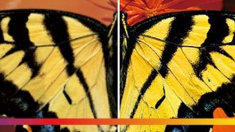 HD z DVD na prawie każdym komputerze 1