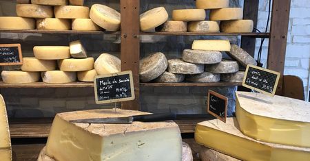 Zjedli ser we Francji. 2 osoby nie żyją, 21 zatrutych
