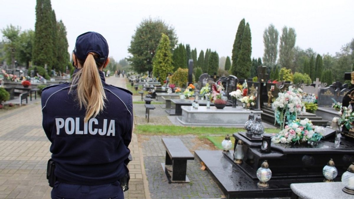 Zdjęcie podglądowe.