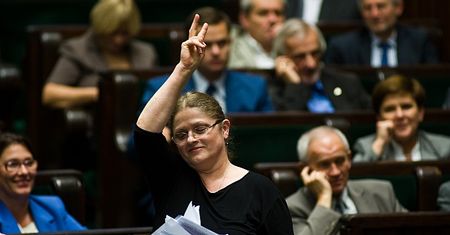 Pawłowicz: "ZWIĄZKI HOMO polegają na PROSTYTUCJI! Patologia!"