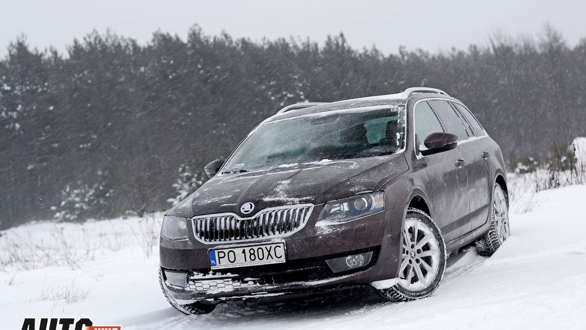 Zdjęcie ilustracyjne do artykułu