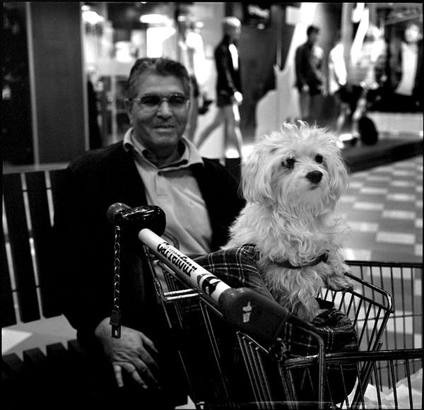 „Dog Stories" - pieskie życie na czarno-białych fotografiach Roberta Kresy 24