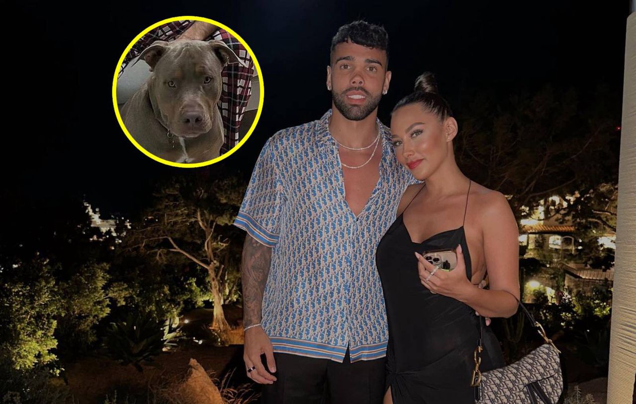 Po serii włamań wziął sprawy w swoje ręce. "To zakazana rasa"