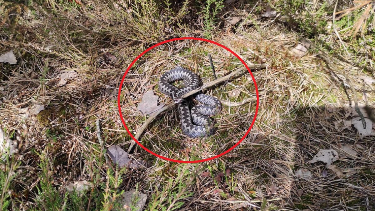 Zdjęcie ilustracyjne