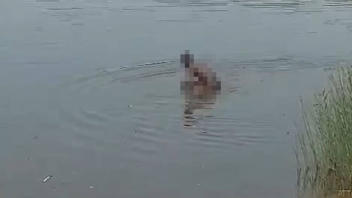 Incydent z udziałem mężczyzny na Trzech Stawach w Katowicach