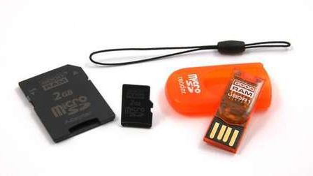 3 w 1, czyli modliszka 1