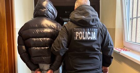 Sprzedawał w sieci nagie zdjęcia kobiet. 19-latek dobrowolnie poddał się karze
