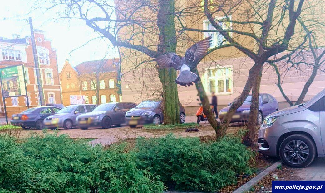 Policja Warmińsko-Mazurska