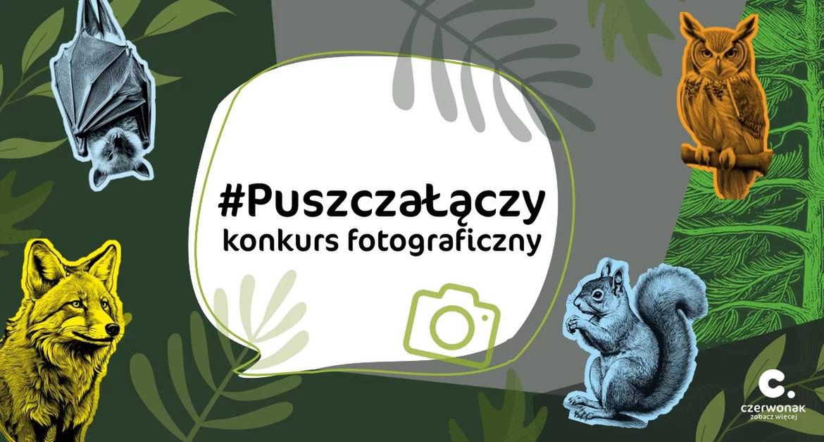 "Puszcza łączy” – konkurs fotograficzny dla młodzieży i dorosłych! Uchwyć piękno natury w Puszczy Zielonka