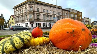 Gubin: Piękne dynie ozdabiają miasto jesienną porą