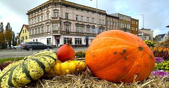 Gubin: Piękne dynie ozdabiają miasto jesienną porą