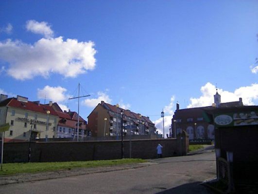 Obraz