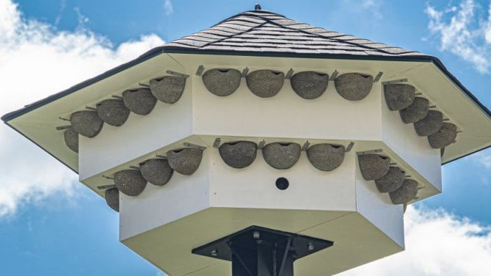 Gniazda mają jak najbardziej przypominać te budowane w przyrodzie.