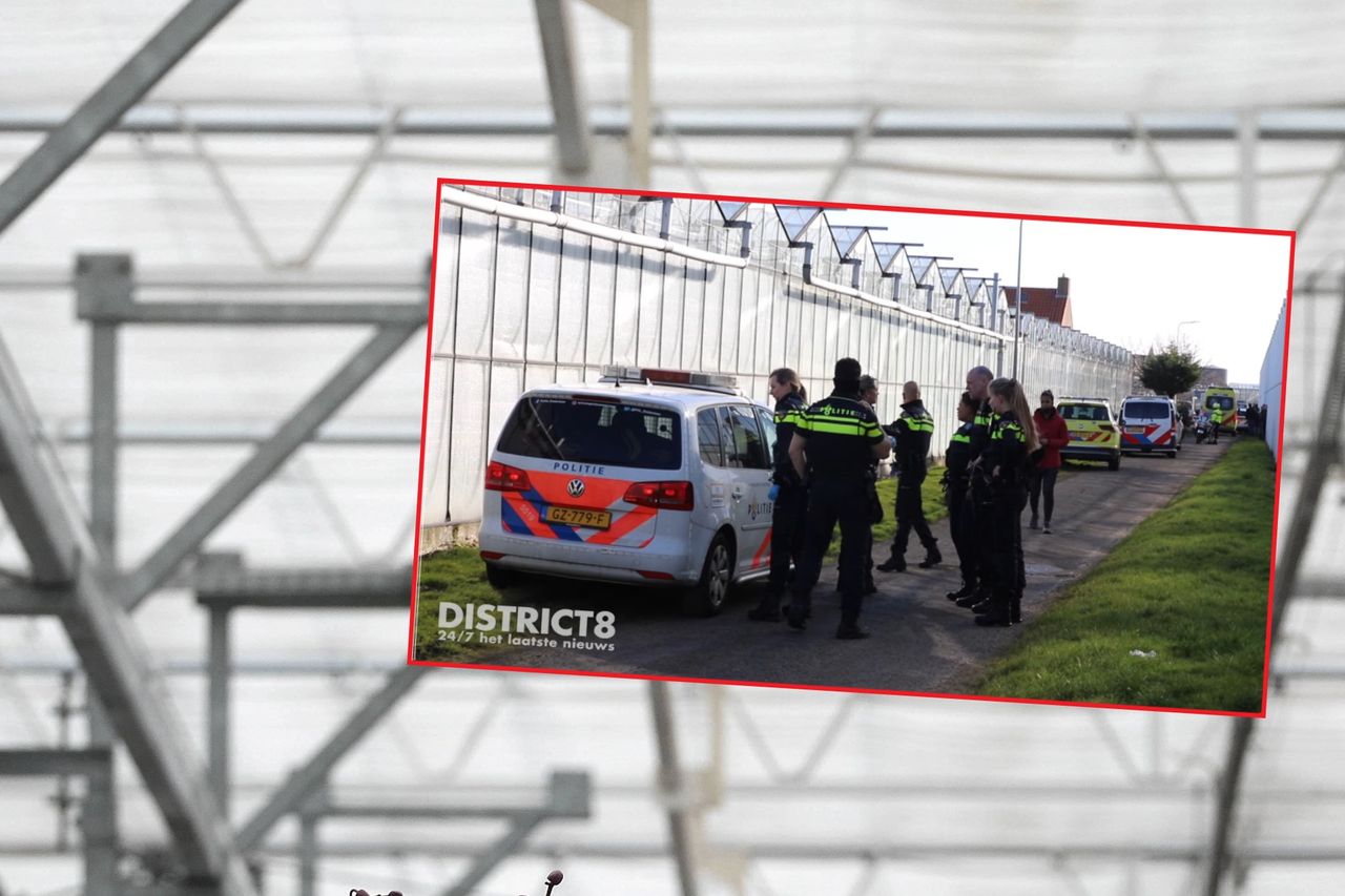 Dramat w Holandii. 22-letnia Polka zadźgała swojego partnera