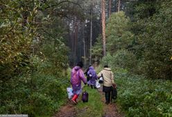 Dramat migrantów na granicy. Lekarka mówi wprost: Nie przeżyją tego