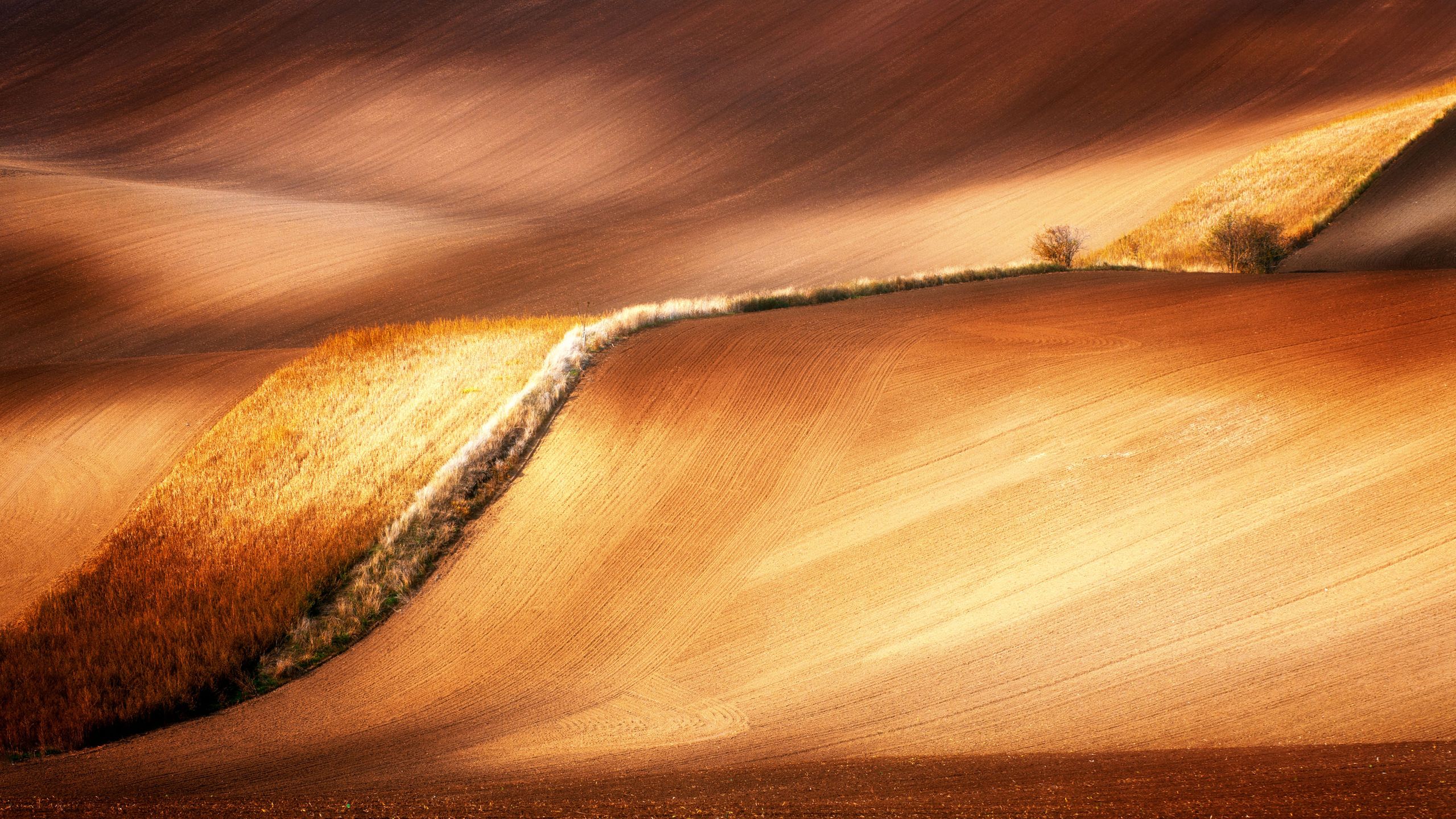 Piotr Leczkowski zwycięzcą polskiej edycji National Awards w Sony World Photography Awards 2019 44