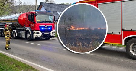 Kara wzrośnie z 5 do 30 tys. zł. Ważna decyzja rządu dotycząca wypalania