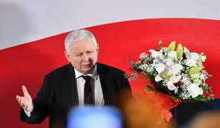 Kaczyński im nie odpuszcza. "Łaski nie robią"