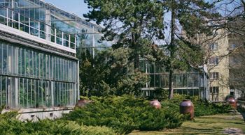 Poznań: Mikołaj pod palmami! Idealne wydarzenie dla rodzin z dziećmi