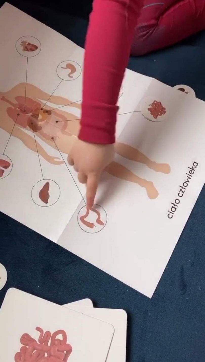 Anna Lewandowska uczy Klarę anatomii