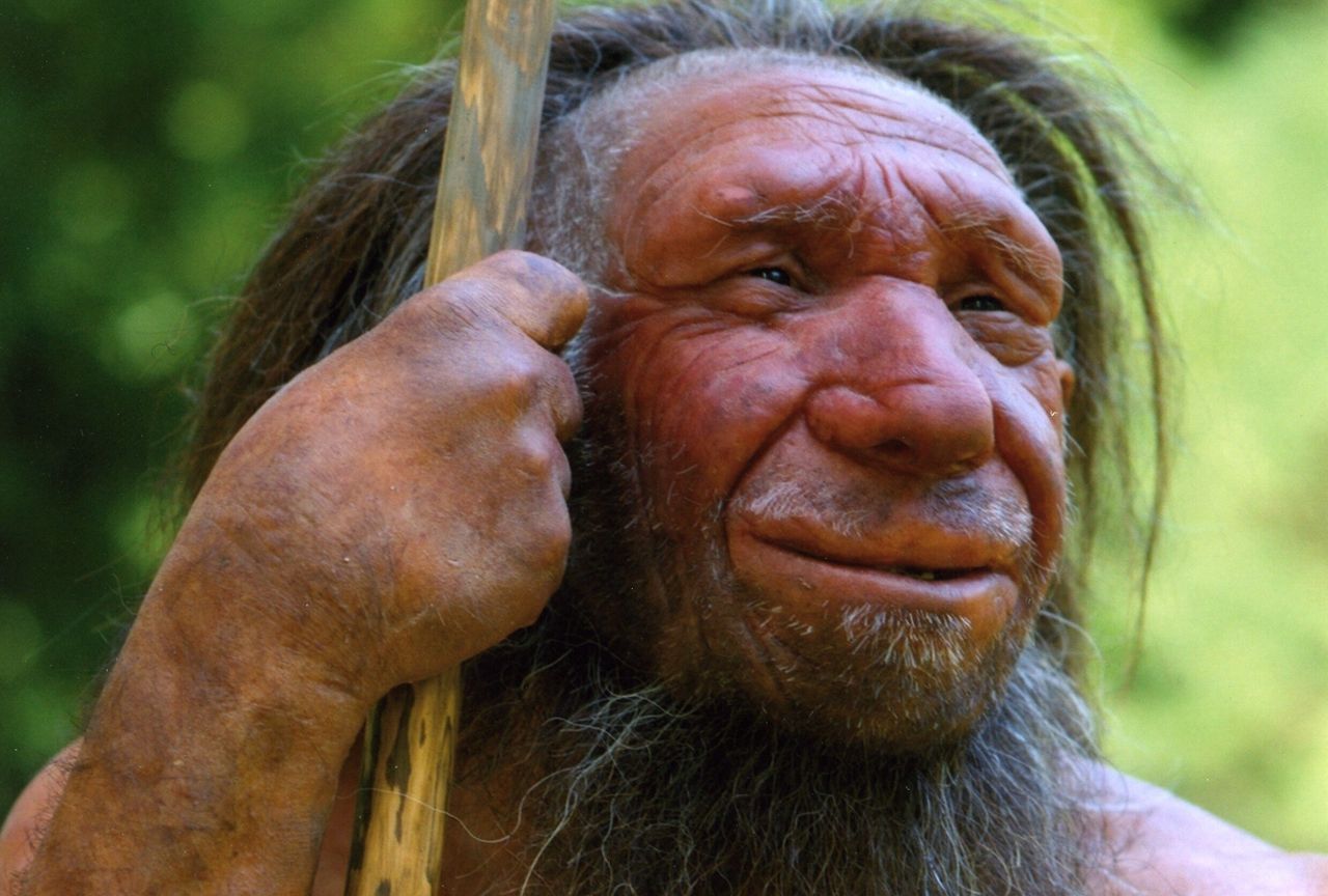 Rekonstrukcja człowieka neandertalskiego