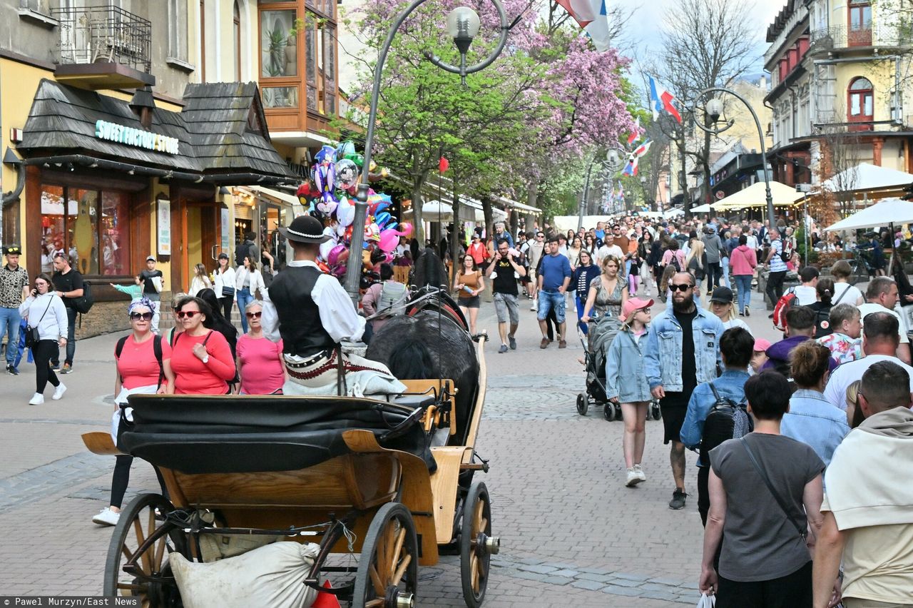 Turyści nie wrócą do Zakopanego w wakacje. Podali powód