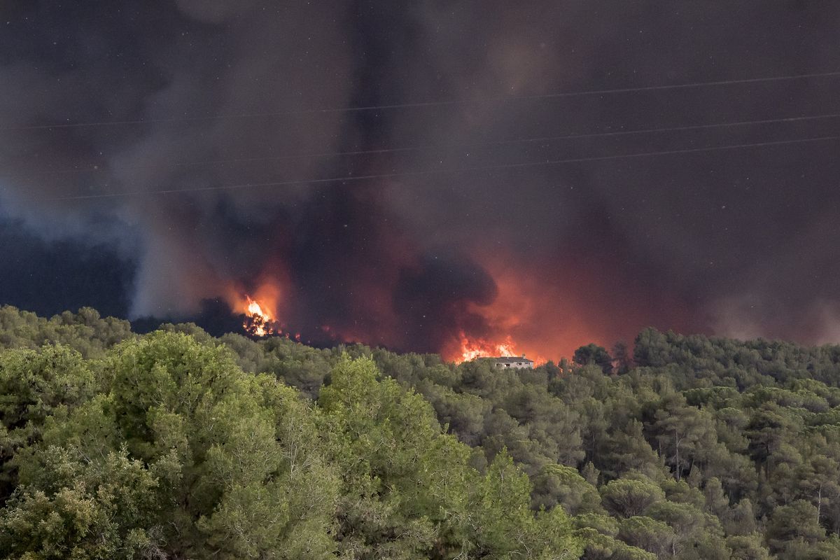 Hiszpania. Spłonęło 200 ha lasów. Wszystko przez niedopałek papierosa 