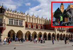 Mieszkańcy Krakowa nie dowierzają. Na Rynku Głównym postawili choinki