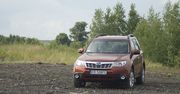 Subaru Forester - leśnik na służbie [test autokult.pl]
