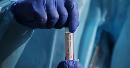 Polska firma wprowadza szybkie testy na COVID-19. Wynik w 6 minut