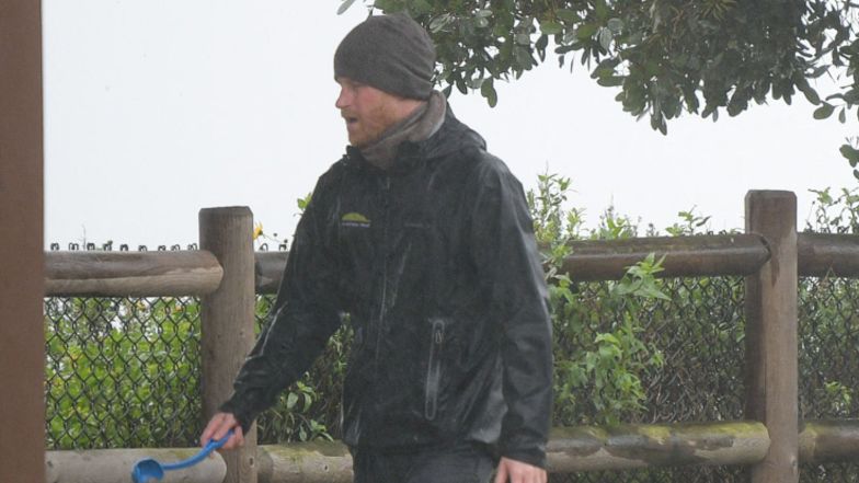 Książę Harry spaceruje z psem w deszczu