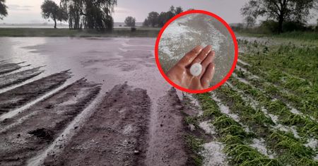 "Płakać się chce". Żywioł siał spustoszenie. Pokazali zdjęcia
