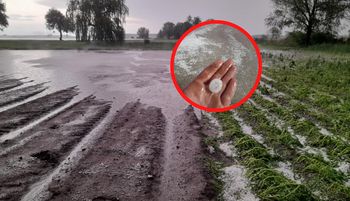 "Płakać się chce". Żywioł siał spustoszenie. Pokazali zdjęcia