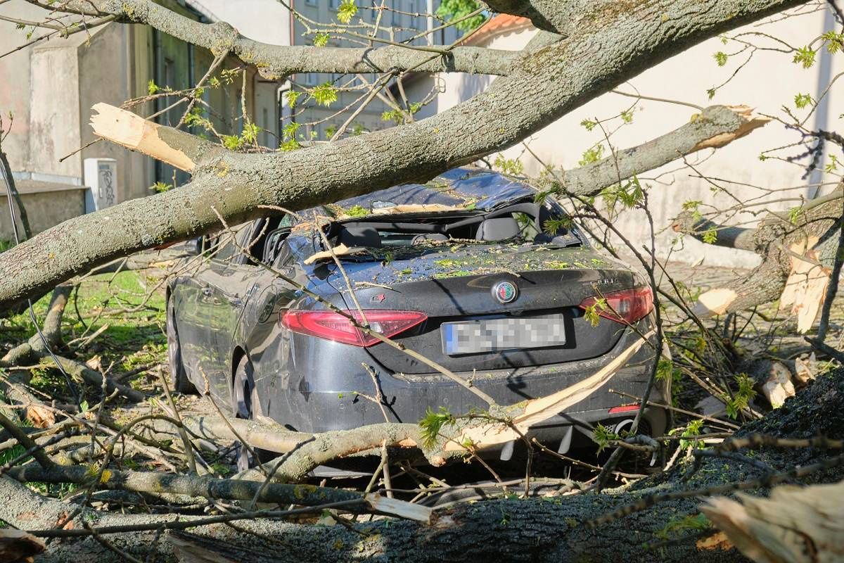 Powalone drzewo spadło na samochód na ul. Misjonarskiej