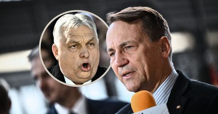 Sikorski o Węgrach i Zełenskim. "Zaoferowałem swoją mediację"