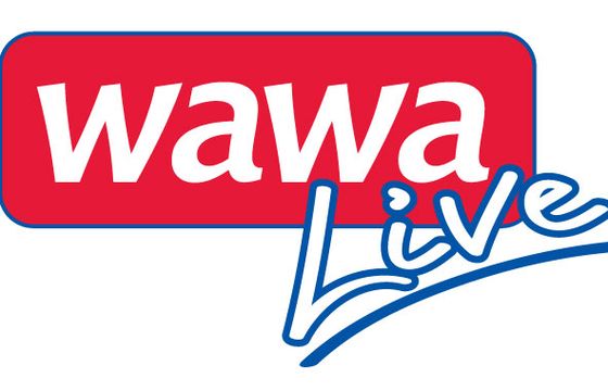 Radio Wawa startuje z nową wakacyjną trasą koncertową „Wawa Live”