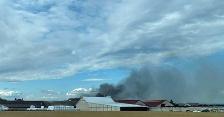 Ogromny pożar na Podlasiu. Spłonęło kilkadziesiąt krów