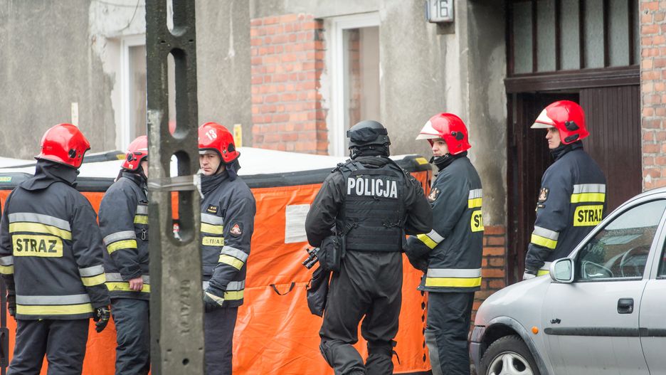 Sześciolatka ruszyła za kotem. Za okno (zdjęcie ilustracyjne)