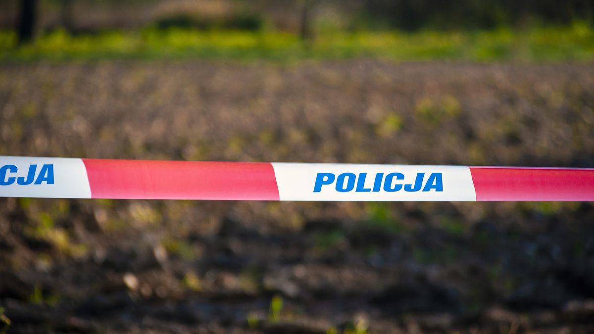 Sąsiedzi mówią o kulisach zabójstwa w Stęszewie
