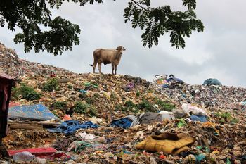 Koniec fast fashion i wyrzucania ubrań? Przełomowy zakaz dla dużych graczy