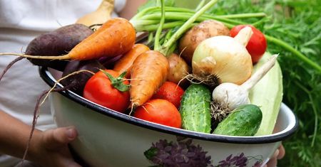 Bezpłatne degustacje, pokazy kulinarne i najlepsze smaki z regionu. Plac Litewski wypełni się ekologiczną żywnością