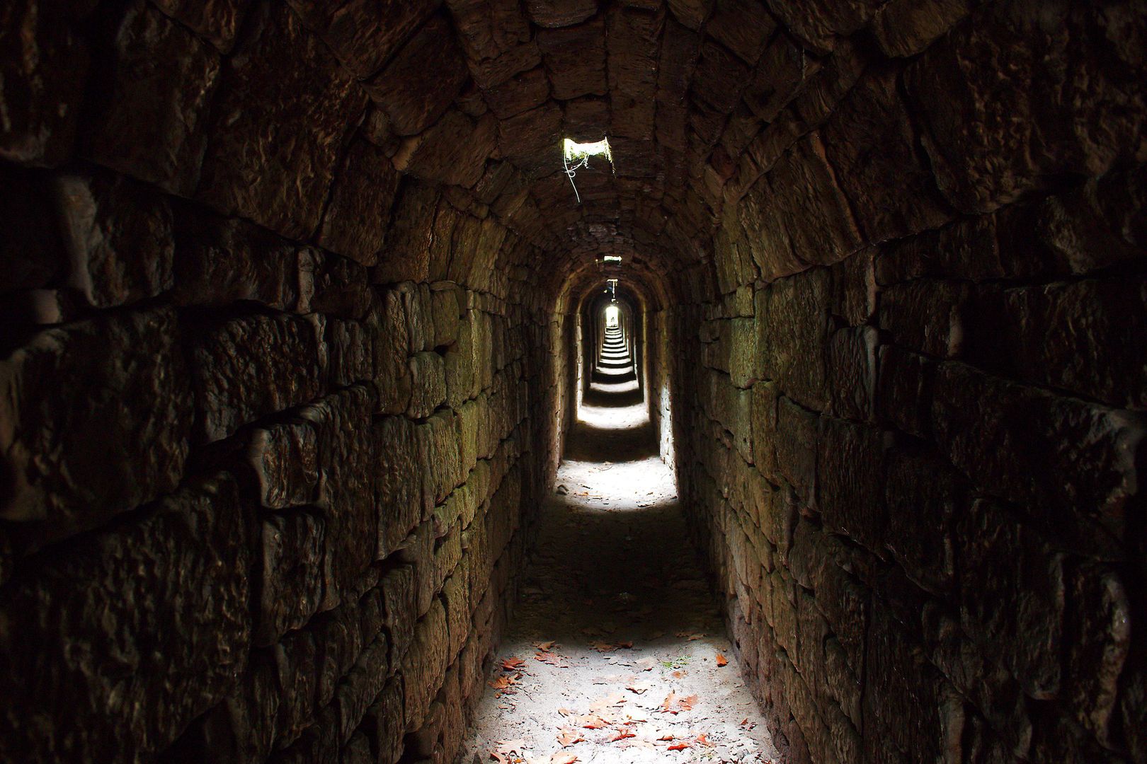 Tajemniczy tunel obok Wrocławia. Saperzy odkryli niezwykłe znalezisko