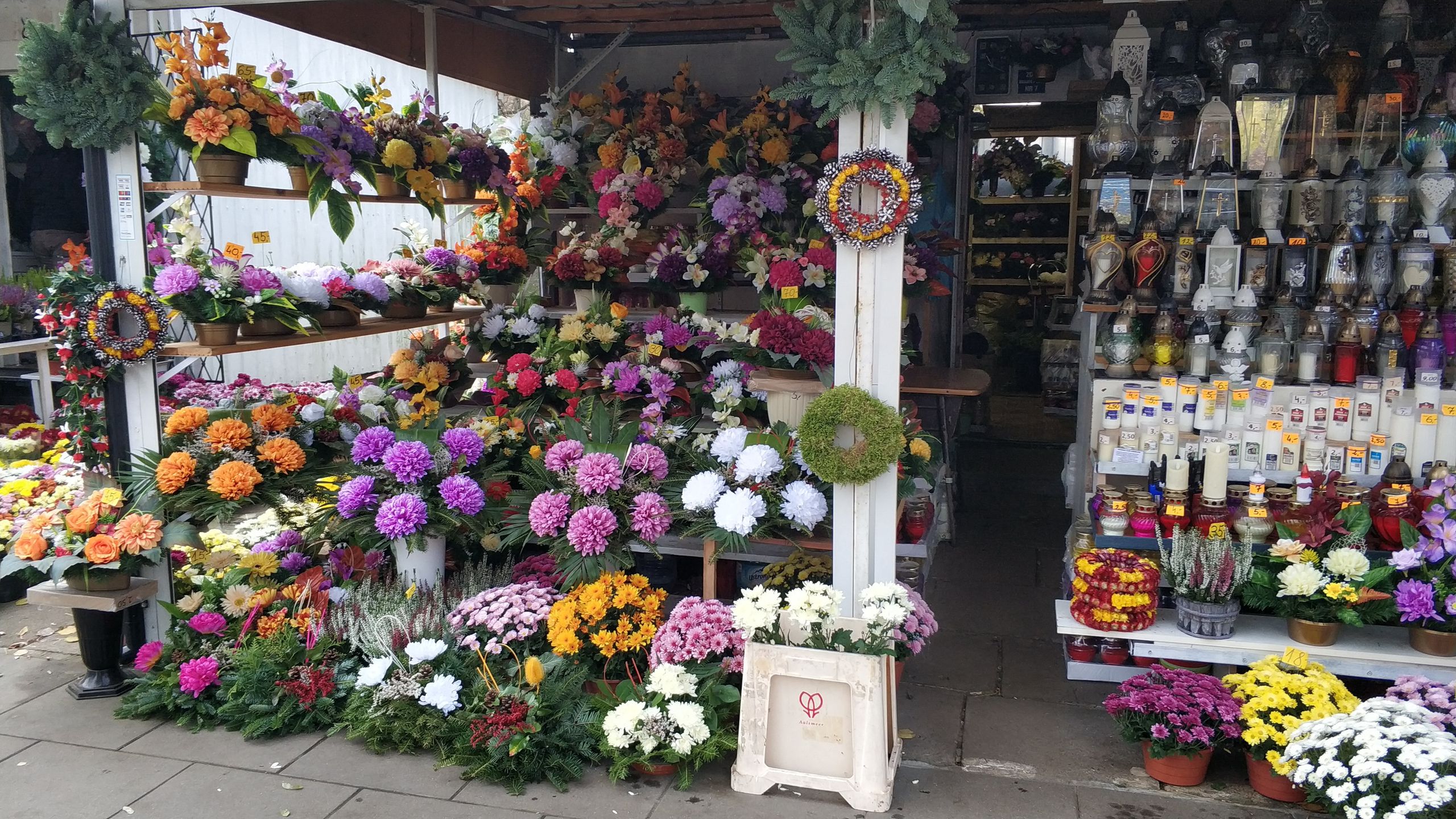 Zdjęcie przedstawia stoisko handlowa sprzedającego chryzantemy i znicze