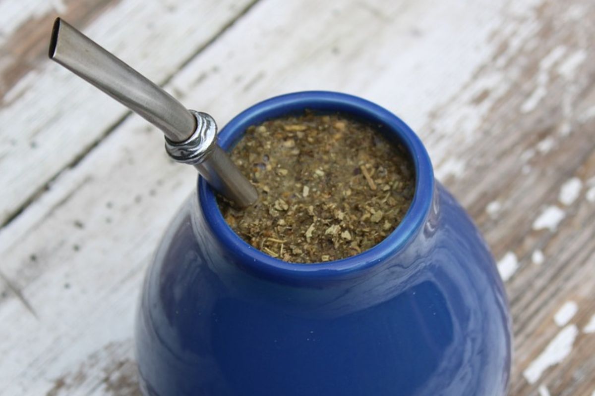Yerba mate