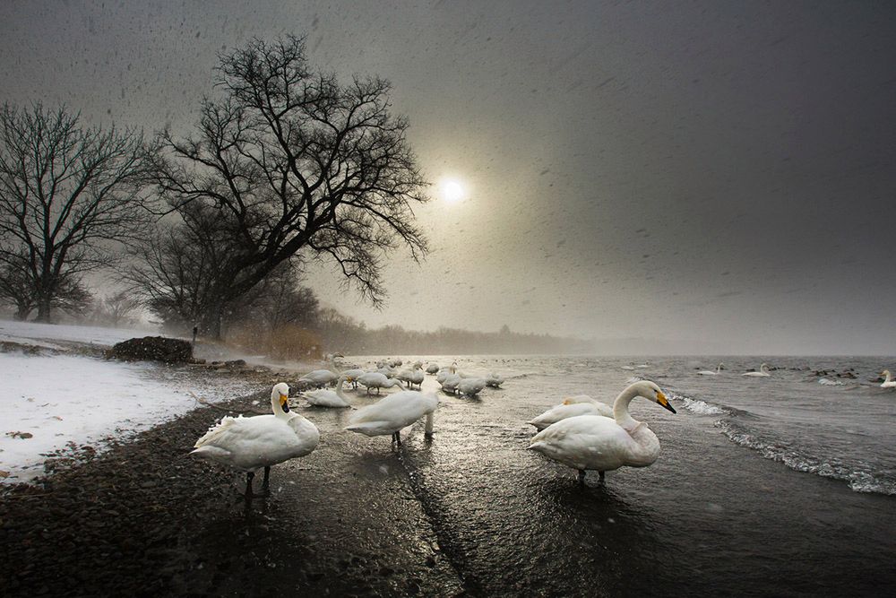 Konkurs jest otwarty dla wszystkich. Na przełomie lat wzięli w nim udział fotografowie z 77 krajów. Oczywiście jego forma trochę się zmieniła – powstała objazdowa wystawa fotografii podróżniczej składającą się z 250 zdjęć w dużym formacie oraz kilku map.