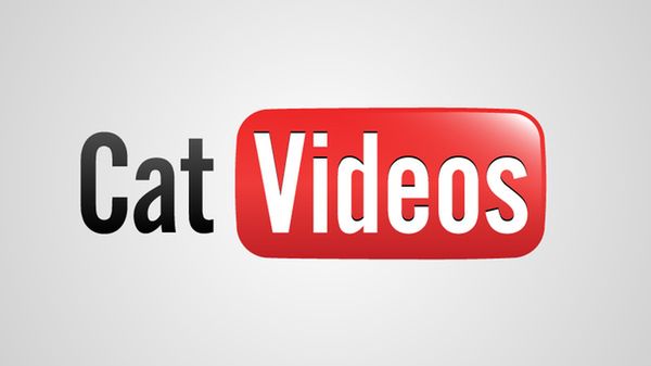 Naga prawda o 14 znanych markach 1