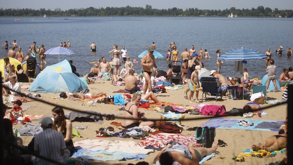 Pogoria w Dąbrowie Górniczej