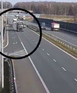 Kierowca nawet nie zareagował. Opublikowano wideo