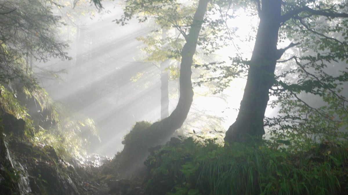 "Tajemniczy ogród" - streszczenie